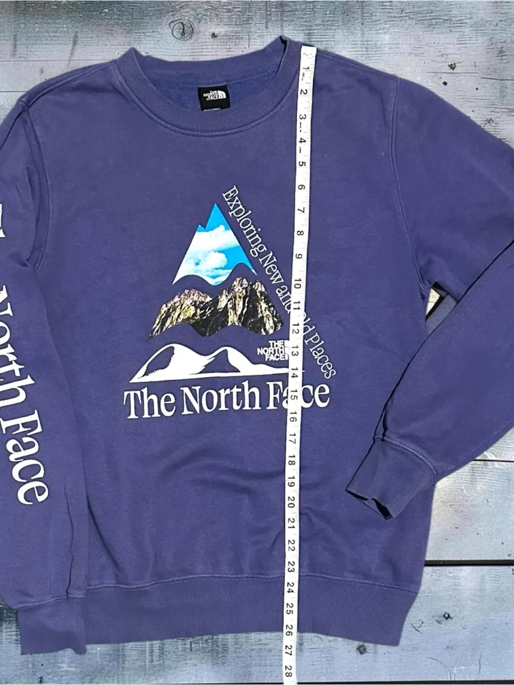 The North Face Places We Love Crewneck Sweatshirt Men’s Small Purple Graphic